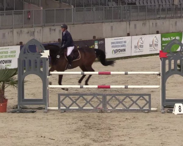 Reitturnier Westergellersen 2021