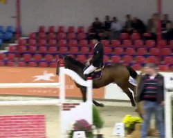 jumper Soter (Hanoverian, 2006, from Stakkato)