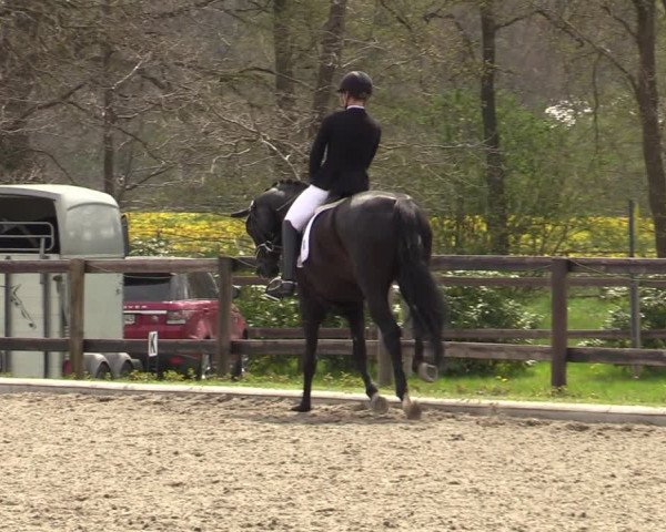 Reitturnier Schwanewede 2021