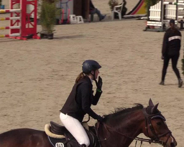 Reitturnier Westergellersen 2021