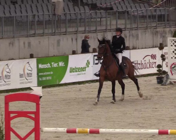 Reitturnier Westergellersen 2021