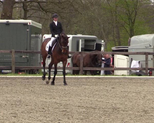 Reitturnier Schwanewede 2021