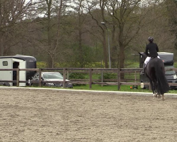 Reitturnier Schwanewede 2021