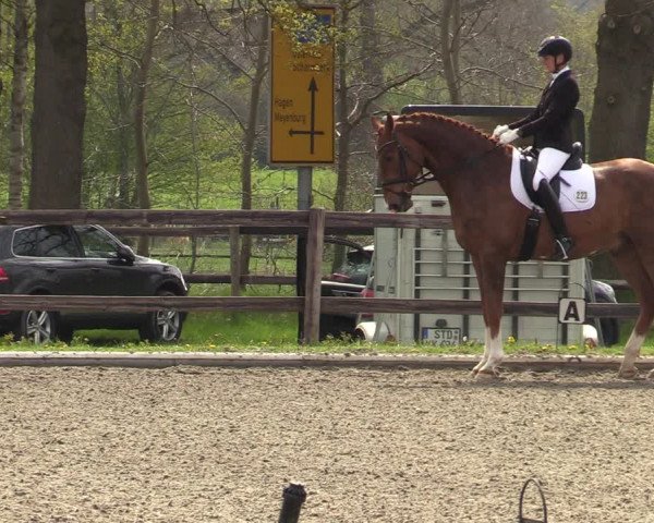 Reitturnier Schwanewede 2021