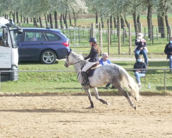 Reitturnier Zoltingen/Schw. 2021
