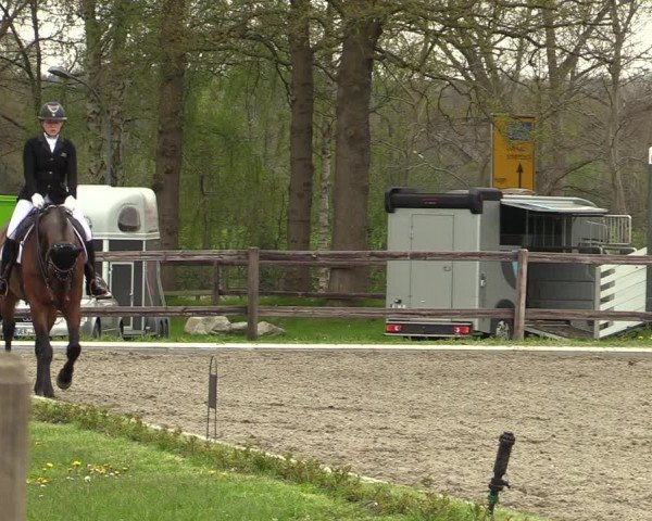 Reitturnier Schwanewede 2021
