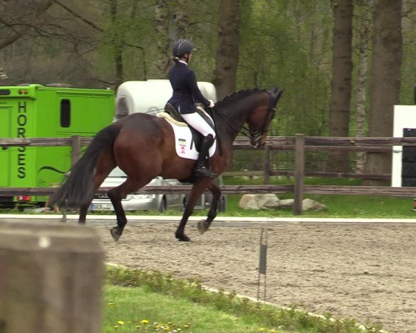 Reitturnier Schwanewede 2021