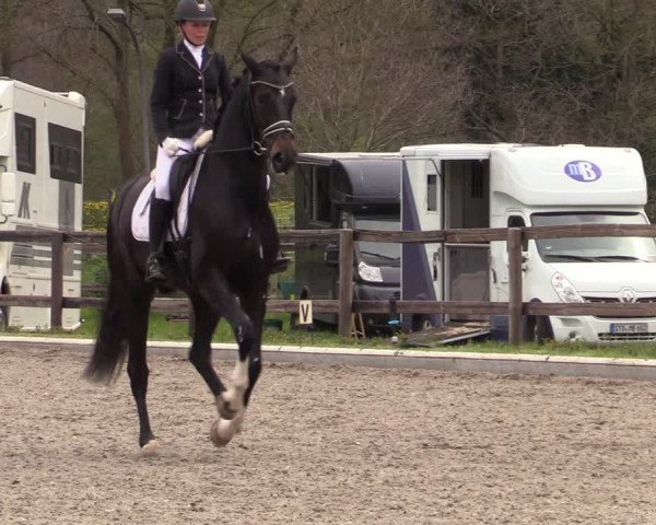 Reitturnier Schwanewede 2021