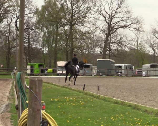 Reitturnier Schwanewede 2021