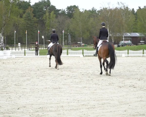Reitturnier Westergellersen 2021