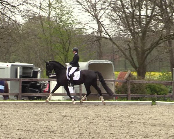 Reitturnier Schwanewede 2021