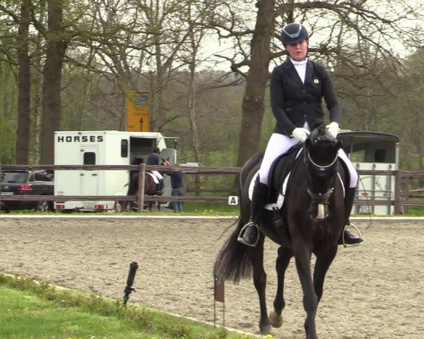 Reitturnier Schwanewede 2021