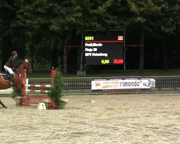 jumper Finja 39 (Hanoverian, 1998, from Fleetwood)