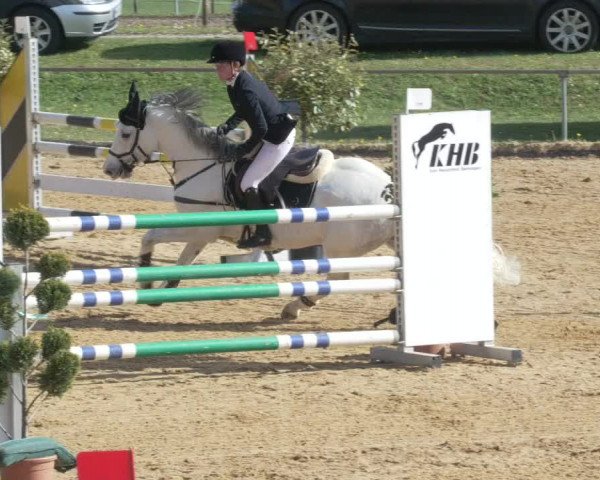 Reitturnier Zoltingen/Schw. 2021