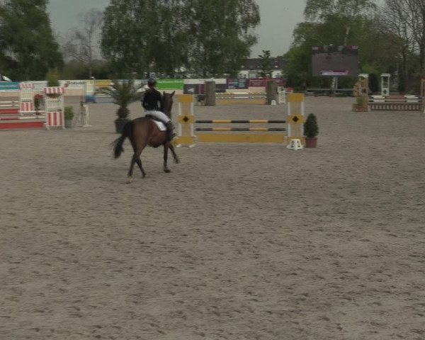 Reitturnier Monheim - Gut Blee 2021