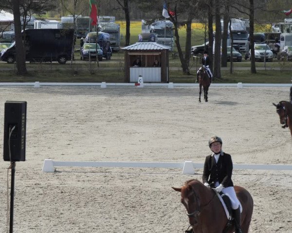 Reitturnier Westergellersen 2021