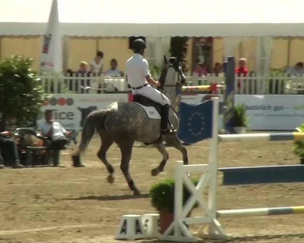 jumper Lymley (Zweibrücken, 2006, from Limited Edition)