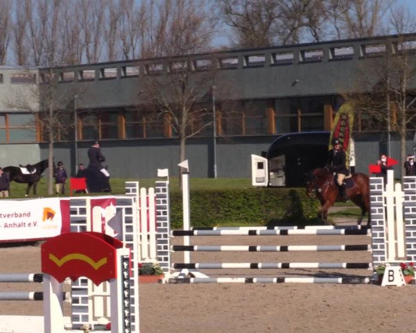 Reitturnier Neustadt/Dosse 2021