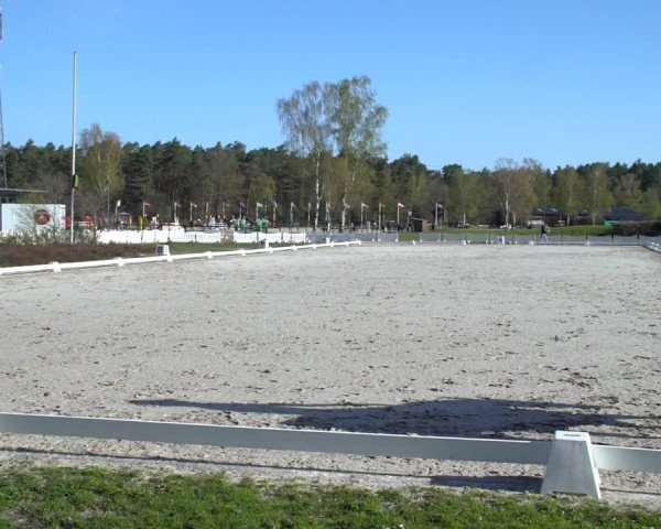 Reitturnier Westergellersen 2021