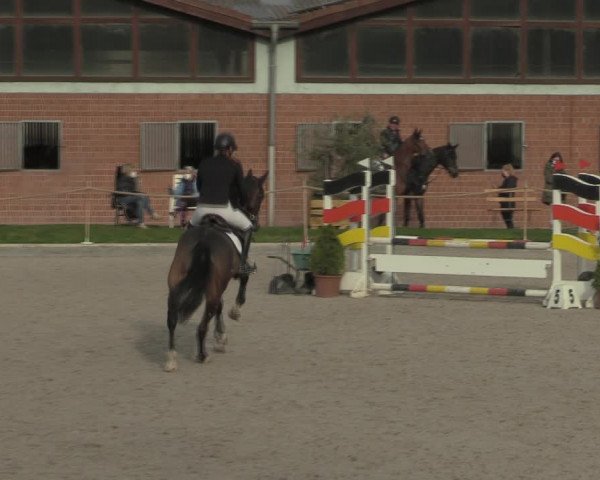 Reitturnier Monheim - Gut Blee 2021