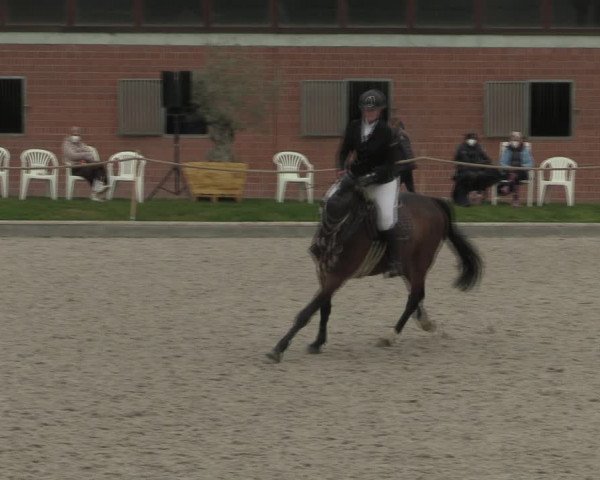 Reitturnier Monheim - Gut Blee 2021
