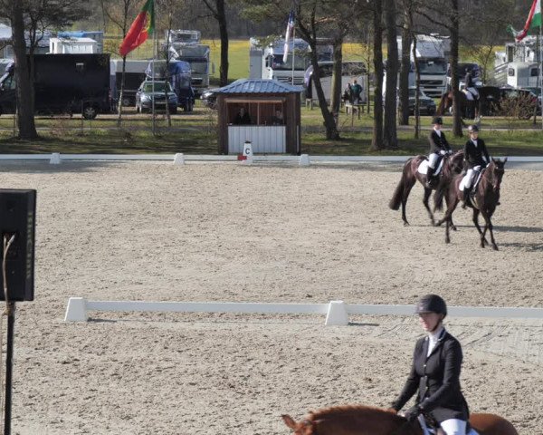 Reitturnier Westergellersen 2021