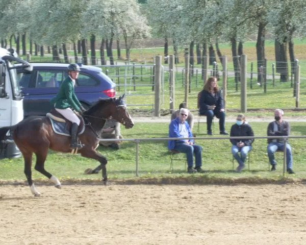 Reitturnier Zoltingen/Schw. 2021