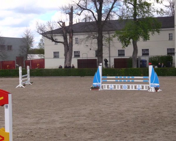 Reitturnier Neustadt/Dosse 2021