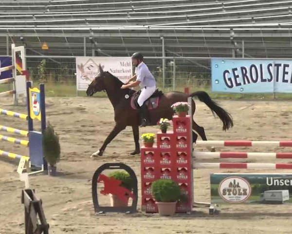 jumper Camp of Place (Bavarian, 1994, from Champ of Class)