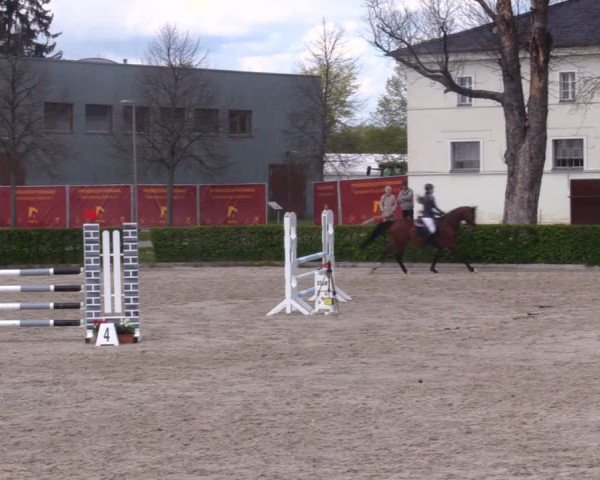 Reitturnier Neustadt/Dosse 2021