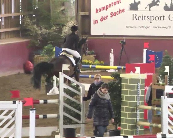 jumper Cyrano 144 (Württemberger, 2001, from Calmaro)