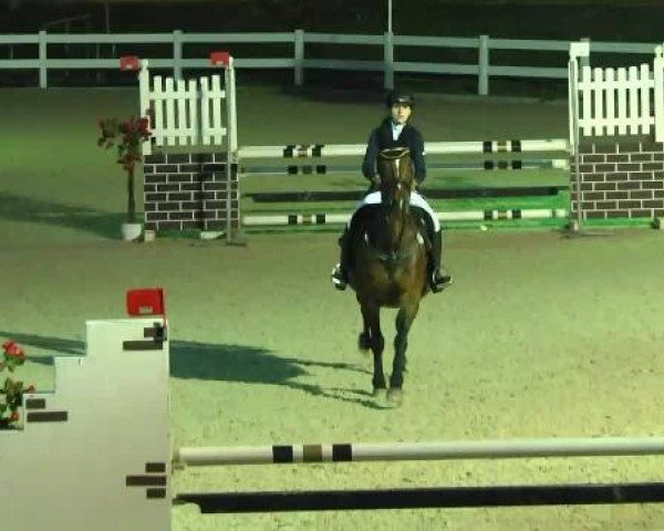 jumper Chiavenna 8 (Sachse, 2000, from Camporado B)