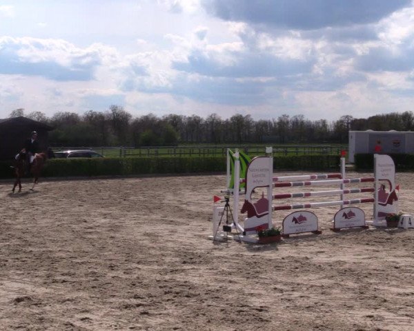 Reitturnier Neustadt/Dosse 2021