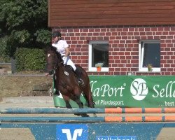jumper Grinse Katze (Westphalian, 2005, from Lanero NRW)