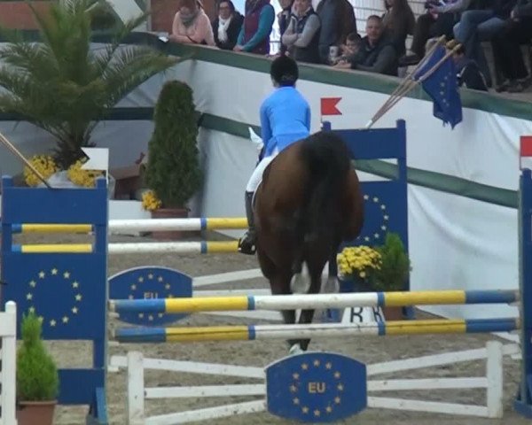 jumper Loxley 44 (Rhinelander, 1999, from Lanero NRW)