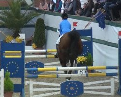 jumper Loxley 44 (Rhinelander, 1999, from Lanero NRW)