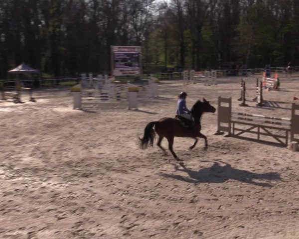 Reitturnier Prussendorf 2021