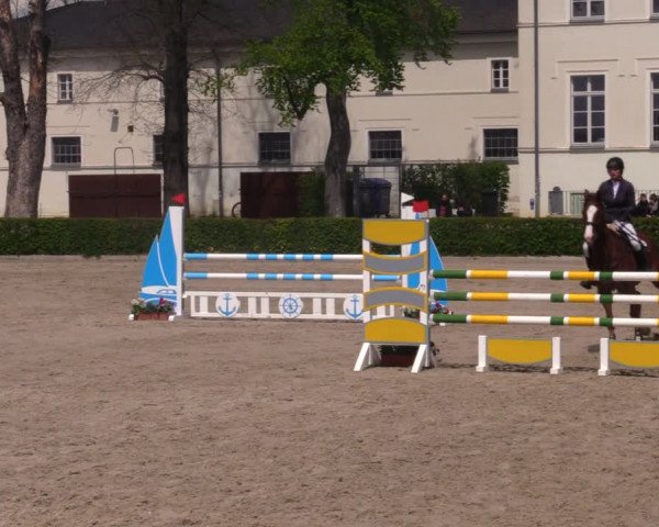 Reitturnier Neustadt/Dosse 2021