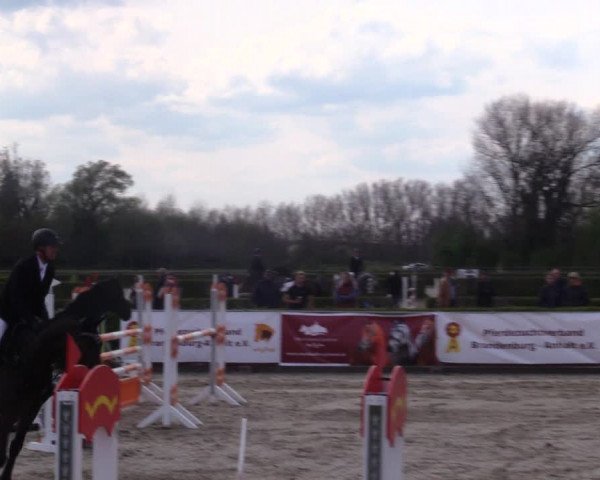 Reitturnier Neustadt/Dosse 2021
