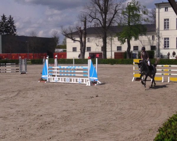 Reitturnier Neustadt/Dosse 2021