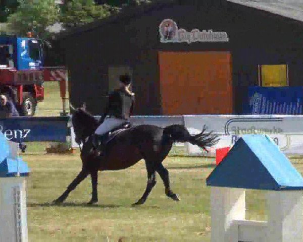 jumper Lucky 1443 (Holsteiner, 2003, from Catoki)