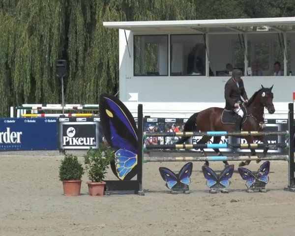 broodmare Lissabon 46 (Hessian Warmblood, 2004, from Lone Star)