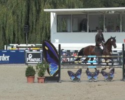 broodmare Lissabon 46 (Hessian Warmblood, 2004, from Lone Star)