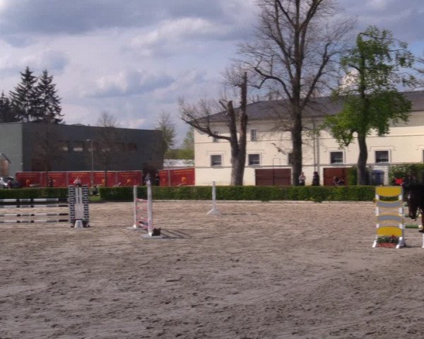 Reitturnier Neustadt/Dosse 2021