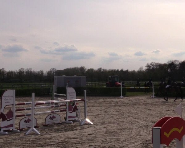 Reitturnier Neustadt/Dosse 2021