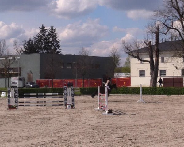 Reitturnier Neustadt/Dosse 2021