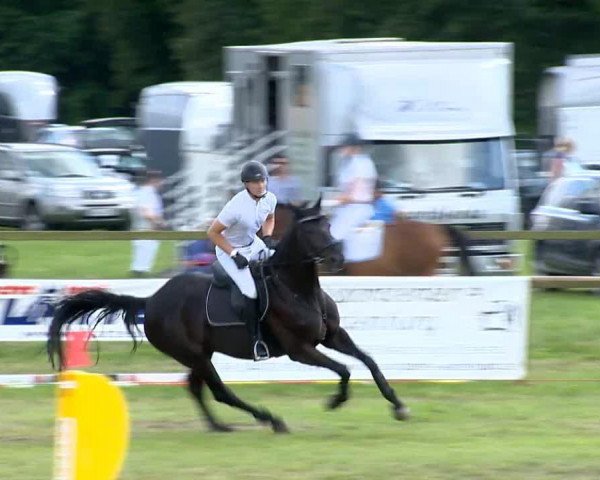 jumper C'est la vie 98 (Oldenburg, 2004, from Curacao I)