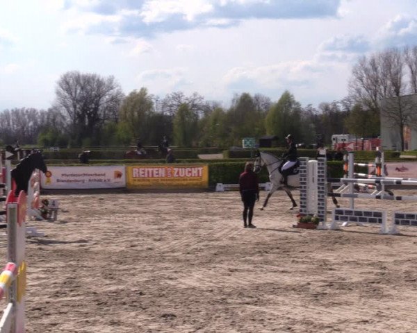 Reitturnier Neustadt/Dosse 2021