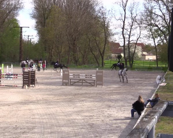Reitturnier Prussendorf 2021