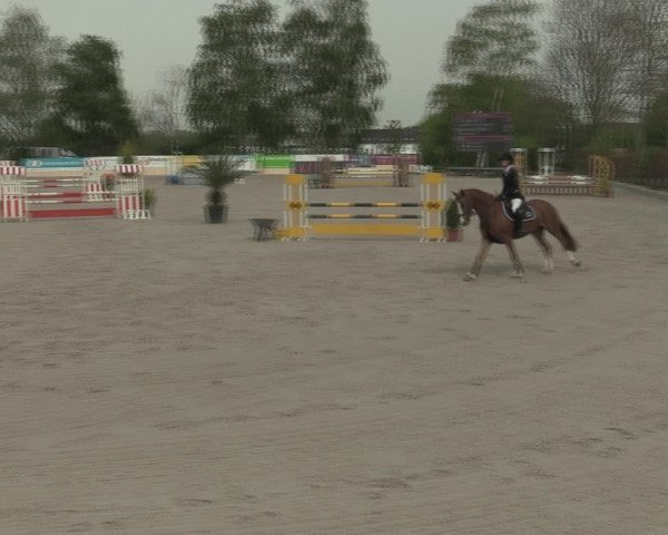 Reitturnier Monheim - Gut Blee 2021